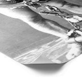 Poster Harry Houdini (Coin)