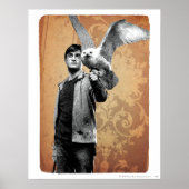 Poster Harry Potter 12 (Devant)