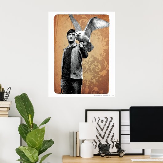 Poster Harry Potter 12 (Bureau à domicile)