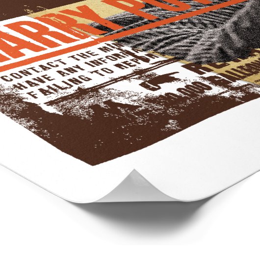 Poster Harry Potter 13 (Coin)