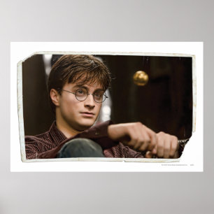 Poster Harry Potter 17