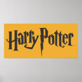 Poster Harry Potter 2 (Devant)