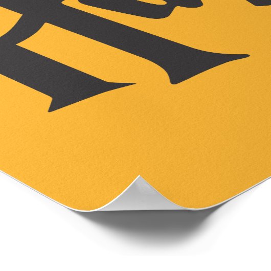 Poster Harry Potter 2 (Coin)