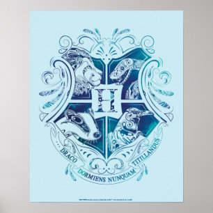 Poster Harry Potter   Aguamenti Blason HOGWARTS™