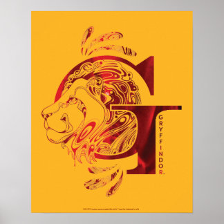 Poster Harry Potter | Aguamenti GRYFFINDOR™ Graphique