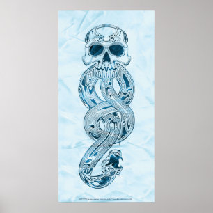 Poster Harry Potter Aguamenti Marque des Ténèbres Graph