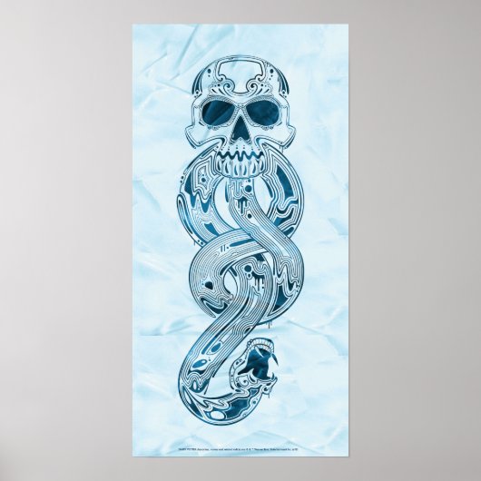 Poster Harry Potter | Aguamenti Marque des Ténèbres Graph (Devant)