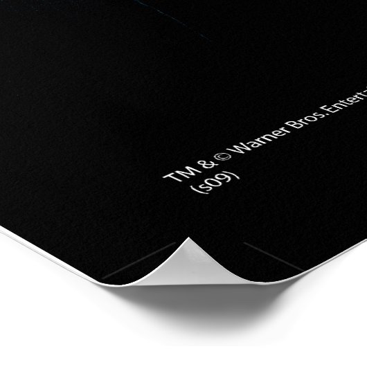 Poster Harry Potter avec Dumbledore Ron et Hermione 1 (Coin)