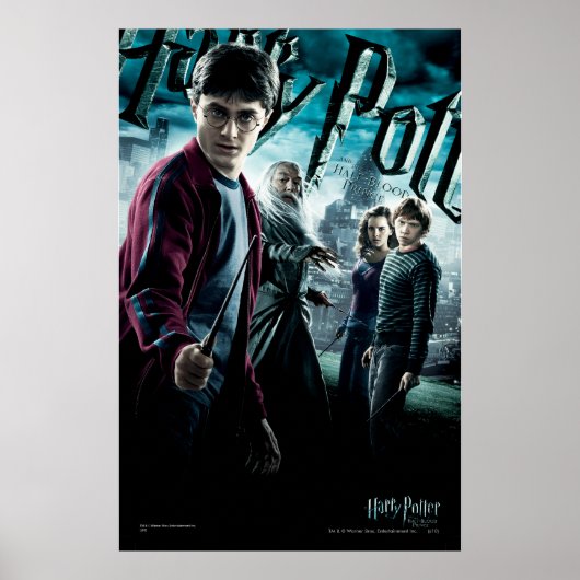 Poster Harry Potter avec Dumbledore Ron et Hermione 1 (Devant)