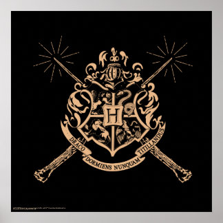 Poster Harry Potter| Crête de laine traversée de nageoire
