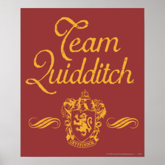 Poster Harry Potter | Équipe QUIDDITCH™