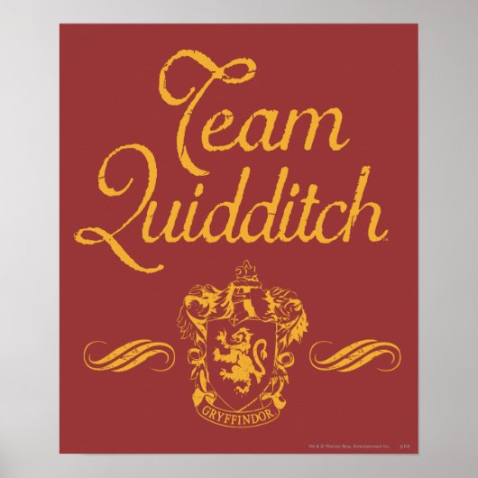 Poster Harry Potter | Équipe QUIDDITCH™ (Devant)