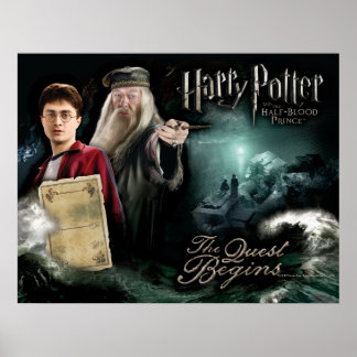 Poster Harry Potter et Dumbledore