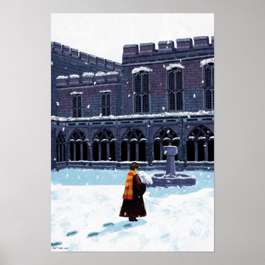 Poster HARRY POTTER™ et Hedwig dans la cour de HOGWARTS™ (Devant)