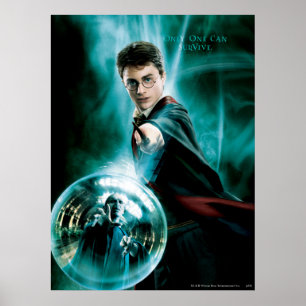 Poster Harry Potter et Voldemort un seul peut survivre