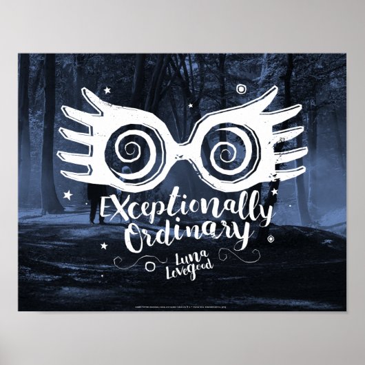 Poster Harry Potter | Exceptionnellement ordinaire (Devant)