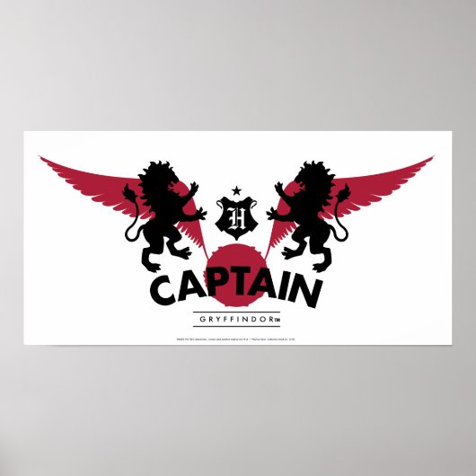 Poster Harry Potter | GRYFFINDOR™ House Quidditch Capitai (Devant)