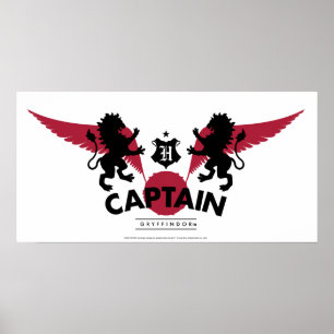Poster Harry Potter GRYFFINDOR™ House Quidditch Captain