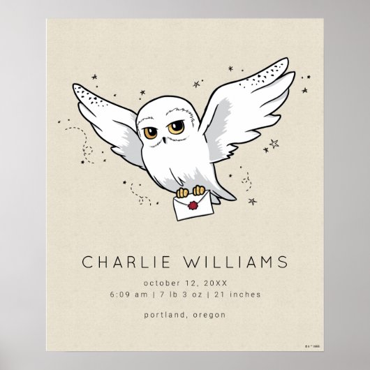 Poster Harry Potter | Hedwig Baby Birth Stats (Devant)