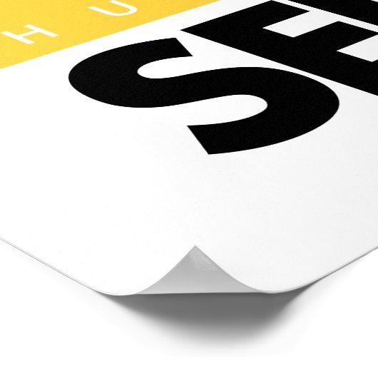 Poster Harry Potter | HUFFLEPUFF™ House Quidditch Seeker (Coin)