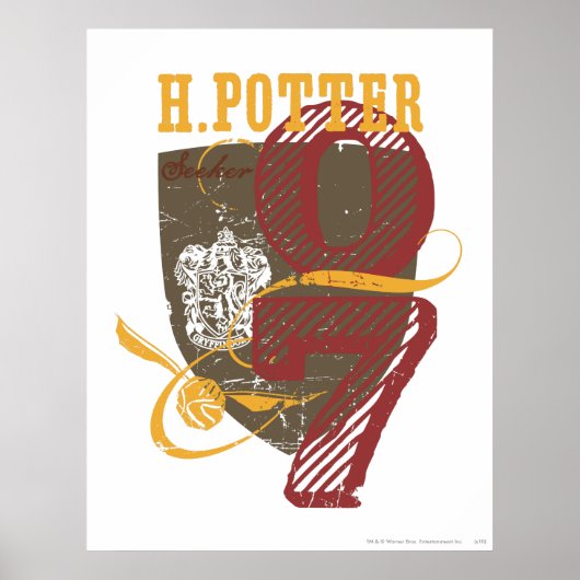 Poster Harry Potter | QUIDDITCH™ (Devant)
