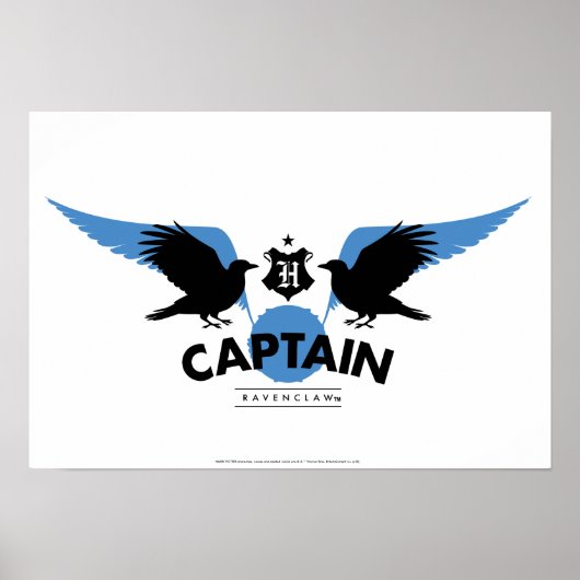 Poster Harry Potter | RAVENCLAW™ House Quidditch Capitain (Devant)