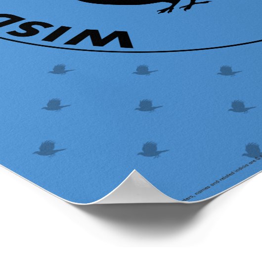 Poster Harry Potter | RAVENCLAW™ House Traits Graphic (Coin)