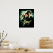 Poster Harry Potter Ron Hermione Dobby Photo de Groupe (Cuisine)