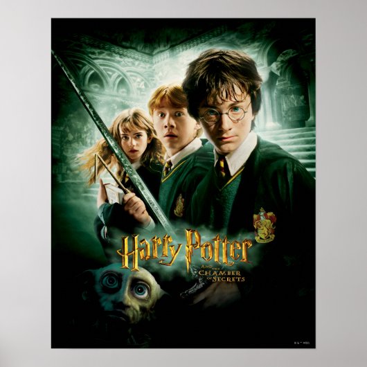 Poster Harry Potter Ron Hermione Dobby Photo de Groupe (Devant)