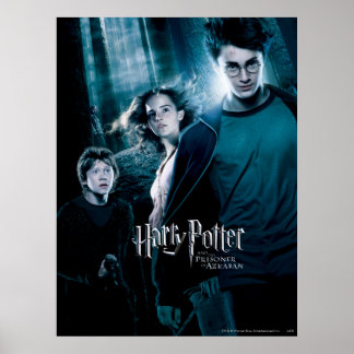 Poster Harry Potter Ron Hermione en forêt
