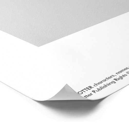 Poster Harry Potter | Slytherin (Coin)