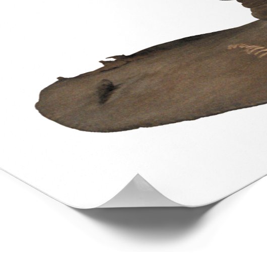 Poster Harry Potter Spell | Casquette de tri (Coin)