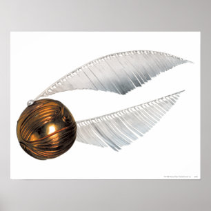 Poster Harry Potter Spell   Golden Snitch