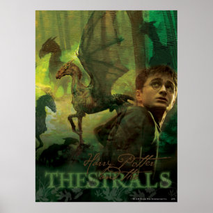 Poster Harry Potter Thestrals