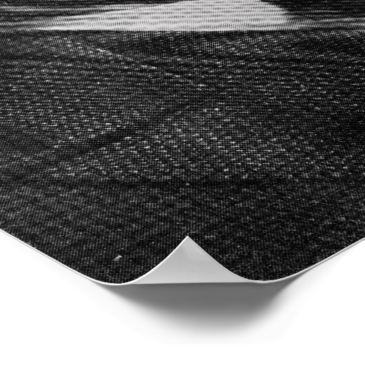 Poster Harry Price (Coin)