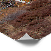 Poster Hart Prairie (Coin)