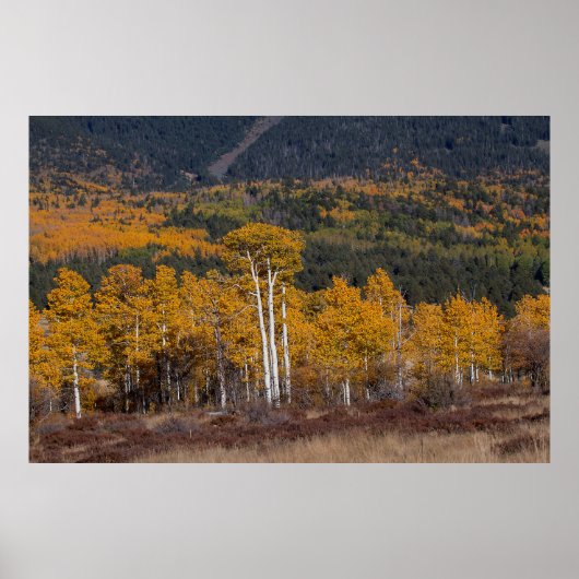 Poster Hart Prairie (Devant)