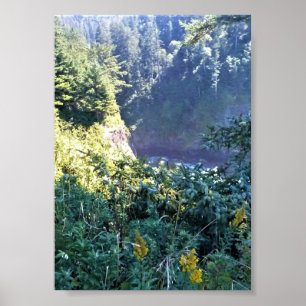 Poster Hart's Cove, côte de l'Oregon