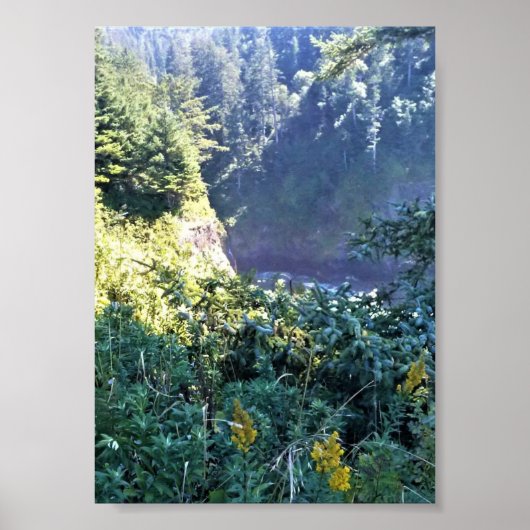 Poster Hart's Cove, côte de l'Oregon (Devant)