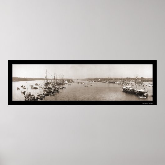 Poster Harvard Yale Boat Race Photo 1905 (Devant)