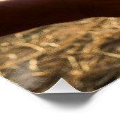 Poster Harvest Grain, Rice Field (Coin)