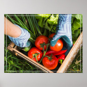 Poster-Harvest Poster