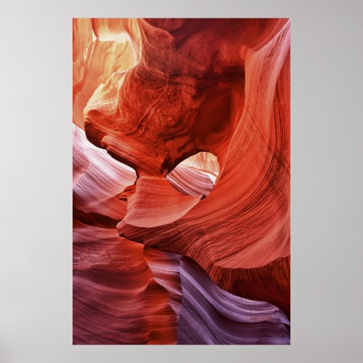 Poster Hasdestwazi (Devant)