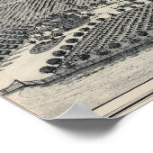 Poster Hastie Vineyard, Californie (Coin)