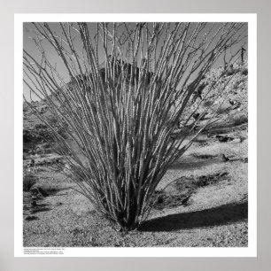 Poster Hastings Réserve d'histoire naturelle