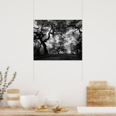 Poster Hauning Arbres noirs et blancs (Cuisine)