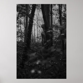 Poster Haunted Forest – Mysterious Shadow in the Woods