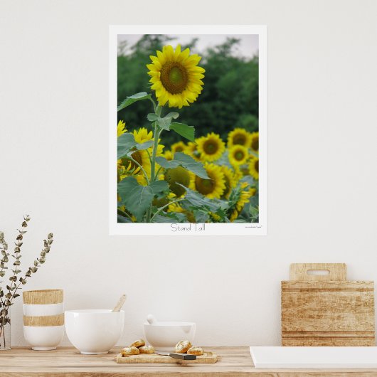 Poster Haut (Cuisine)