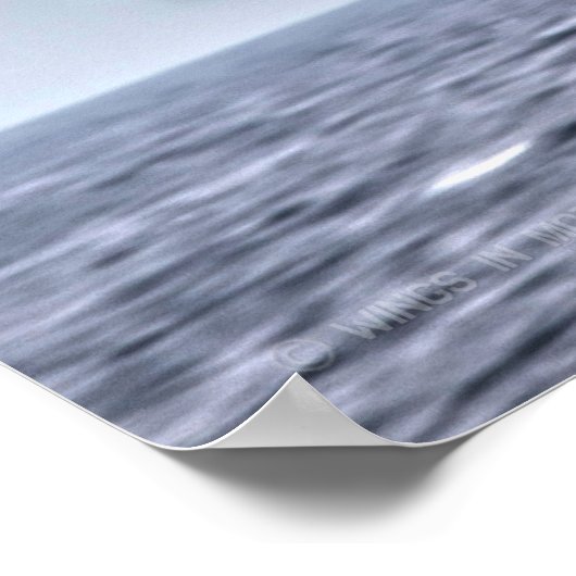 POSTER HAUT DE 1 AN VENOM (Coin)