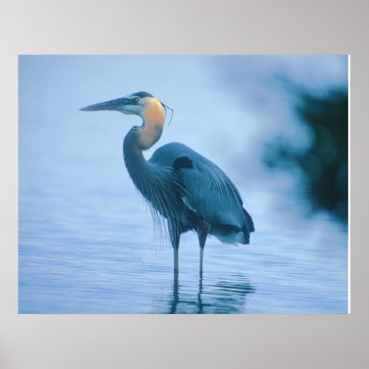 Poster Haut debout (Devant)